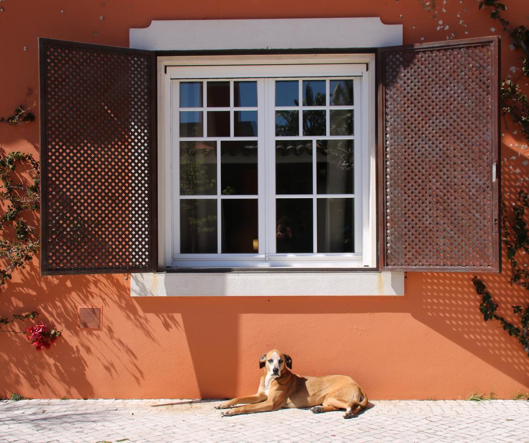 Quinta Tagus Hotel Costa da Caparica Exterior photo A window with open shutters